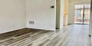 Cambridge Dorchester Apartments Gallery 47