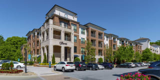 The Collection Gallery 21