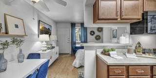 The Palms on Lamar-Affordable Housing Gallery 26
