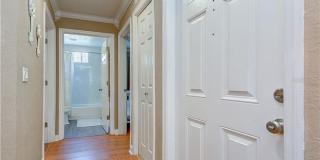 Spacious 4BR/2BA Carrollwood Meadows home. Gallery 19