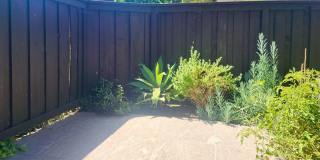 5151 Walnut Gallery 20