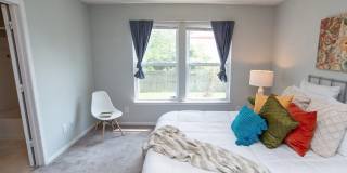 3017 Everbloom Way Gallery 9