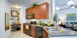 Avanti Cityside Gallery 27