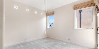319 Orchid Gallery 19