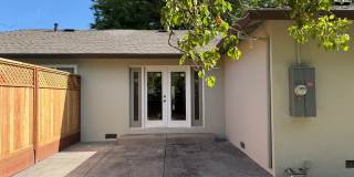 Fully Remodeled 3 Bedroom/ 2 Bathroom Duplex w/ Modern Finishes & Private Yard! Gallery 30