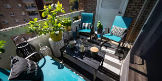 Laurel Village Apartments Gallery 35