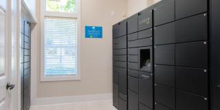 Hawthorne at the Greene Gallery 24