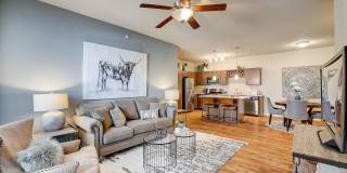 Springs at Round Rock Gallery 7