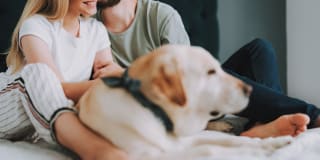 The Canal Gallery 25