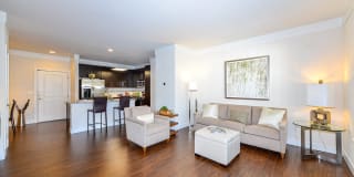 Vanguard Crossing Gallery 24