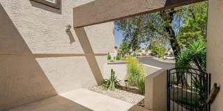 7853 E Pleasant Run Gallery 8