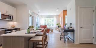 J Centra Burlington Gallery 20