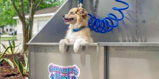 The View at Waters Edge Gallery 39