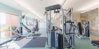 Domain at Kirby Gallery 50