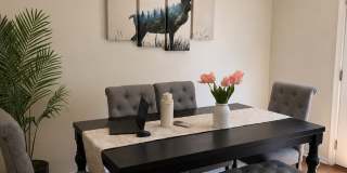 2906 Clovercrest Way Gallery 18