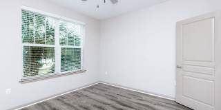 RIZE at Winter Springs Gallery 79