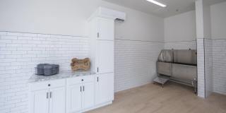 The Crossings at Windsong Gallery 26