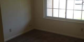 Recently Remodeled Four Bedroom Rosemont Home with Large Backyard! Gallery 7