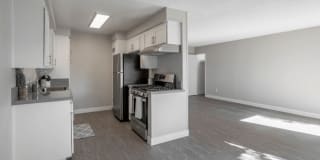 The Benson Gallery 6