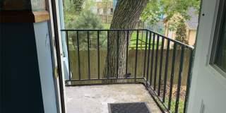 118 Cottage Street#8 Gallery 16