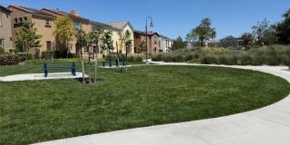 16458 Globetrotter Gallery 45