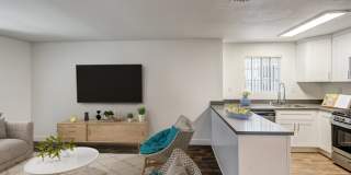 Ygnacio Village Gallery 3