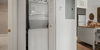 Pine Groves Gallery 17