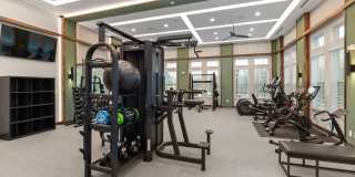 Patrick's Pointe Gallery 29