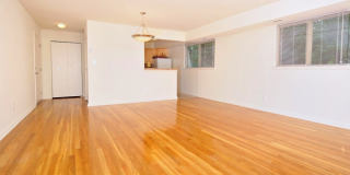 Mannasota Manor Gallery 9