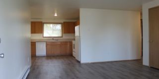 3 bedroom 1 bath home in Hillsboro near Max line Gallery 9