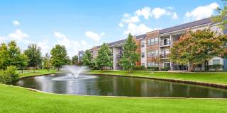 Indigo Park Gallery 45