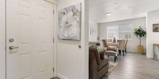Oak Springs Gallery 8