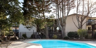 Crystal Springs Terrace Gallery 9