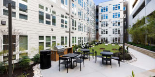 Korina and Alder at The Grove Korina and Alder at The Grove Gallery 25