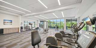 Central Gardens Grand Gallery 15