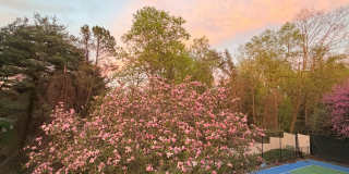 1289 BALLANTRAE FARM Drive Gallery 53