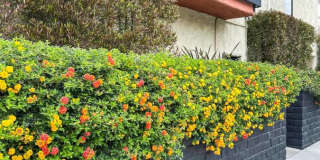 Las Casitas Apartments Gallery 10