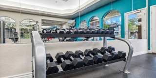 Silverbell Springs Gallery 30