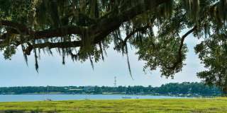 Preserve at Port Royal Gallery 40