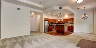 Boca Raton Gallery 33