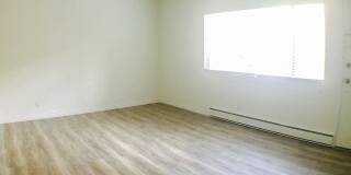 Large Studio with a full kitchen and Bath One Parking space included Gallery 3