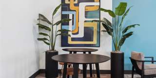 Sunset Terrace Gallery 25
