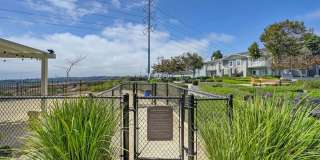 The Tradition Gallery 8