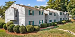 Rosen at North Hills Gallery 36