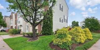 1332 CRANES BILL Way Gallery 38