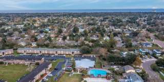 Sea Oats Sea Oats Gallery 23