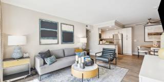 Sofi at Wood Ranch Gallery 4