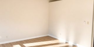 Bright 1 Bed / 1 Bath Apartment for Rent in North Seattle Private Balcony, Near Green Lake & Northgate! Gallery 25