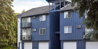 Whimsical Pig Gallery 29