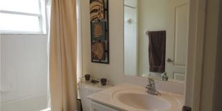 10537 Washingtonia Palm Way Gallery 21